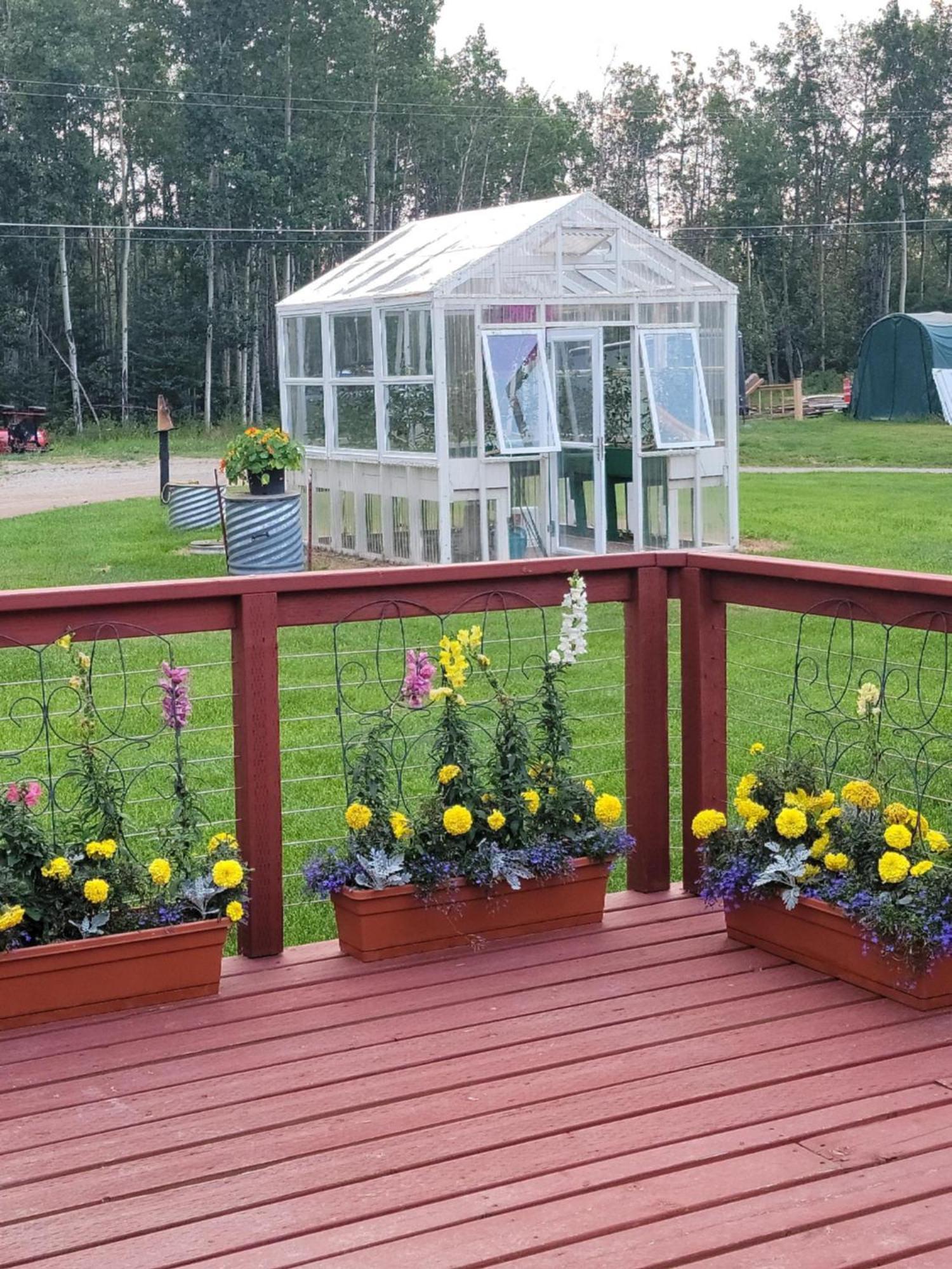 Alaska Country Inn Delta Junction Екстериор снимка
